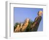 India, Bihar, Bodh Gaya (Aka Bodhgaya), Statues of Bodhisattvas, or 'Enlightened Beings', Garden in-Amar Grover-Framed Photographic Print