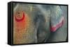 India, Bihar, Patna, Sonepur Mela Cattle Fait, Painted Elephant-Anthony Asael-Framed Stretched Canvas