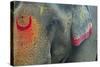 India, Bihar, Patna, Sonepur Mela Cattle Fait, Painted Elephant-Anthony Asael-Stretched Canvas