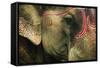 India, Bihar, Patna, Sonepur Mela Cattle Fait, Painted Elephant-Anthony Asael-Framed Stretched Canvas