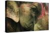 India, Bihar, Patna, Sonepur Mela Cattle Fait, Painted Elephant-Anthony Asael-Stretched Canvas