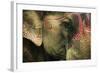 India, Bihar, Patna, Sonepur Mela Cattle Fait, Painted Elephant-Anthony Asael-Framed Photographic Print