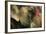 India, Bihar, Patna, Sonepur Mela Cattle Fait, Painted Elephant-Anthony Asael-Framed Photographic Print