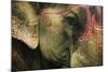 India, Bihar, Patna, Sonepur Mela Cattle Fait, Painted Elephant-Anthony Asael-Mounted Photographic Print