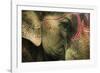 India, Bihar, Patna, Sonepur Mela Cattle Fait, Painted Elephant-Anthony Asael-Framed Photographic Print