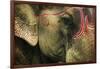 India, Bihar, Patna, Sonepur Mela Cattle Fait, Painted Elephant-Anthony Asael-Framed Photographic Print