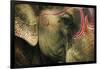 India, Bihar, Patna, Sonepur Mela Cattle Fait, Painted Elephant-Anthony Asael-Framed Photographic Print