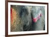 India, Bihar, Patna, Sonepur Mela Cattle Fait, Painted Elephant-Anthony Asael-Framed Photographic Print