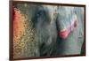 India, Bihar, Patna, Sonepur Mela Cattle Fait, Painted Elephant-Anthony Asael-Framed Photographic Print