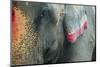 India, Bihar, Patna, Sonepur Mela Cattle Fait, Painted Elephant-Anthony Asael-Mounted Photographic Print