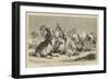 India, Camel Riders of a Native Cavalry Regiment Preparing for a March-null-Framed Giclee Print