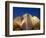 India, Delhi, New Delhi, Bahai House of Worship Know As the The Lotus Temple-Jane Sweeney-Framed Photographic Print