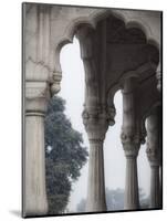 India, Delhi, Old Delhi, Red Fort-Jane Sweeney-Mounted Photographic Print
