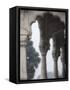 India, Delhi, Old Delhi, Red Fort-Jane Sweeney-Framed Stretched Canvas