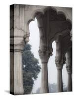 India, Delhi, Old Delhi, Red Fort-Jane Sweeney-Stretched Canvas