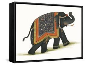 India Elephant I Light Crop-Wild Apple Portfolio-Framed Stretched Canvas