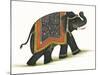 India Elephant I Light Crop-Wild Apple Portfolio-Mounted Art Print