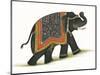 India Elephant I Light Crop-Wild Apple Portfolio-Mounted Art Print