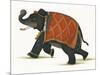 India Elephant II Light Crop-Wild Apple Portfolio-Mounted Art Print