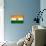 India Flag Design with Wood Patterning - Flags of the World Series-Philippe Hugonnard-Stretched Canvas displayed on a wall