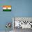 India Flag Design with Wood Patterning - Flags of the World Series-Philippe Hugonnard-Stretched Canvas displayed on a wall