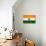 India Flag Design with Wood Patterning - Flags of the World Series-Philippe Hugonnard-Stretched Canvas displayed on a wall