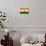 India Flag Design with Wood Patterning - Flags of the World Series-Philippe Hugonnard-Premium Giclee Print displayed on a wall