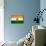 India Flag Design with Wood Patterning - Flags of the World Series-Philippe Hugonnard-Mounted Premium Giclee Print displayed on a wall