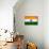 India Flag Design with Wood Patterning - Flags of the World Series-Philippe Hugonnard-Mounted Premium Giclee Print displayed on a wall
