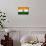 India Flag Design with Wood Patterning - Flags of the World Series-Philippe Hugonnard-Mounted Art Print displayed on a wall