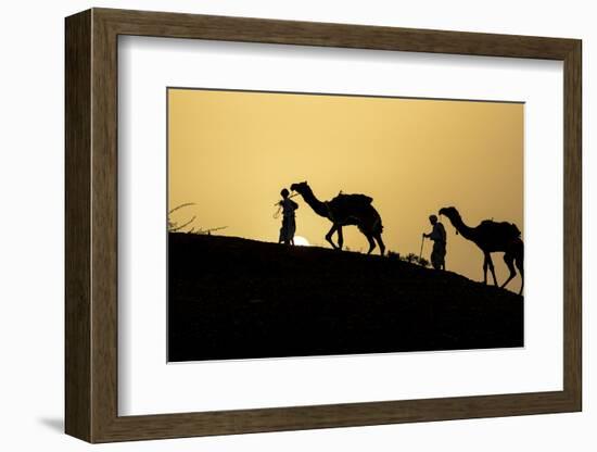 India, Gujarat, Bhuj, Great Rann of Kutch, Tribe. Camels and tribesmen-Ellen Goff-Framed Photographic Print