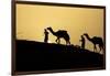 India, Gujarat, Bhuj, Great Rann of Kutch, Tribe. Camels and tribesmen-Ellen Goff-Framed Photographic Print
