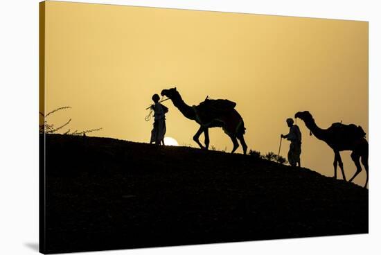 India, Gujarat, Bhuj, Great Rann of Kutch, Tribe. Camels and tribesmen-Ellen Goff-Stretched Canvas