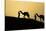 India, Gujarat, Bhuj, Great Rann of Kutch, Tribe. Camels and tribesmen-Ellen Goff-Stretched Canvas