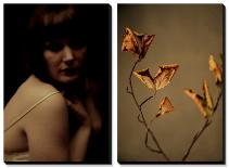 Sepia Coloured Flowers-India Hobson-Photographic Print