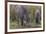 India. Indian boar, Sus scrofa cristatus, at Kanha Tiger reserve.-Ralph H. Bendjebar-Framed Photographic Print