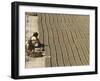 India International Women's Day, Jammu-Channi Anand-Framed Photographic Print