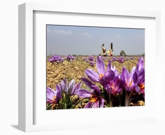 India Kashmir Daily Life-Mukhtar Khan-Framed Photographic Print