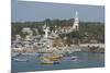 India, Kerala, Malabar Coast, Villanjam, Port view of fishing village with St. Joseph's Shrine.-Cindy Miller Hopkins-Mounted Photographic Print