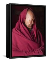 India, Ladakh, Likir, Senior Monk at Likir Monastery, Ladakh, India-Katie Garrod-Framed Stretched Canvas