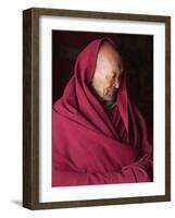 India, Ladakh, Likir, Senior Monk at Likir Monastery, Ladakh, India-Katie Garrod-Framed Photographic Print