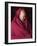 India, Ladakh, Likir, Senior Monk at Likir Monastery, Ladakh, India-Katie Garrod-Framed Photographic Print