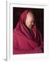 India, Ladakh, Likir, Senior Monk at Likir Monastery, Ladakh, India-Katie Garrod-Framed Photographic Print