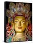 India, Ladakh, Thiksey, the Immense and Beautifully Gilded Maitreya Buddha in the Chamkhang Temple-Katie Garrod-Framed Stretched Canvas