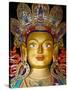 India, Ladakh, Thiksey, the Immense and Beautifully Gilded Maitreya Buddha in the Chamkhang Temple-Katie Garrod-Stretched Canvas