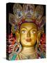 India, Ladakh, Thiksey, the Immense and Beautifully Gilded Maitreya Buddha in the Chamkhang Temple-Katie Garrod-Stretched Canvas