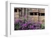 India, Madhya Pradesh State Temple of Kandariya with Bushes of Bougainvillea Flowers in Foreground-Ellen Clark-Framed Photographic Print