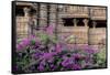 India, Madhya Pradesh State Temple of Kandariya with Bushes of Bougainvillea Flowers in Foreground-Ellen Clark-Framed Stretched Canvas