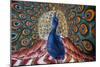 India: Peacock-null-Mounted Giclee Print