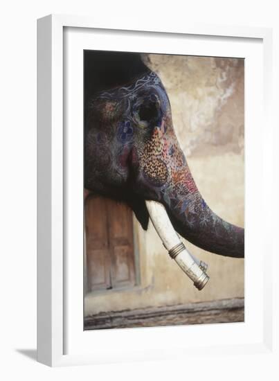 India, Rajasthan, Amber, Amer Fort, Painted Indian Elephant-Dave Bartruff-Framed Photographic Print